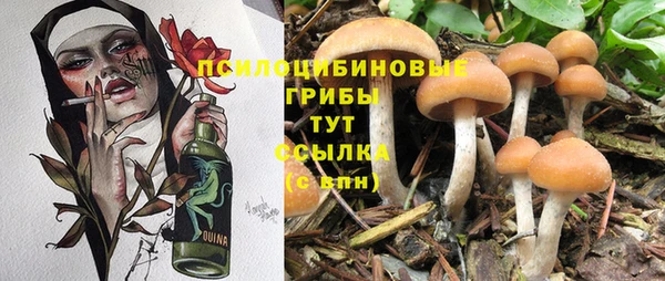 каннабис Баксан